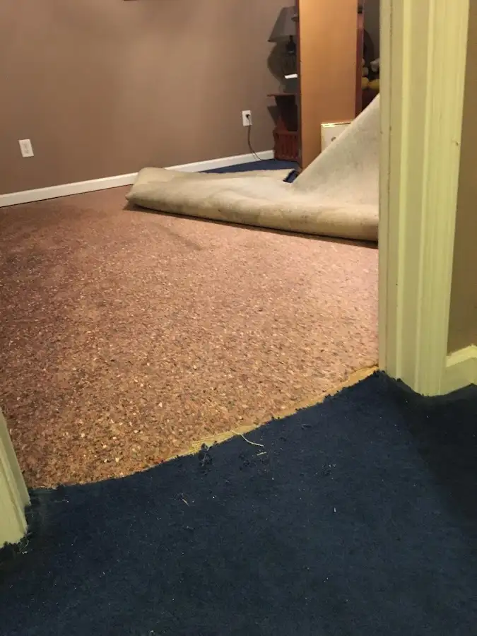 Carpet pad removal revealing water damage during Water Mitigation Services in Stockbridge