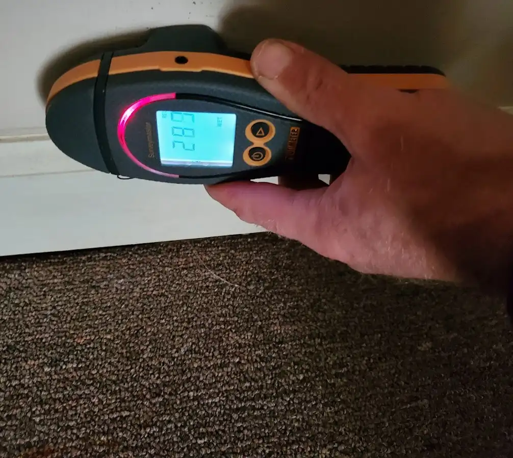 Moisture detection at baseboard during Sewage Cleanup & Sanitation in Stockbridge